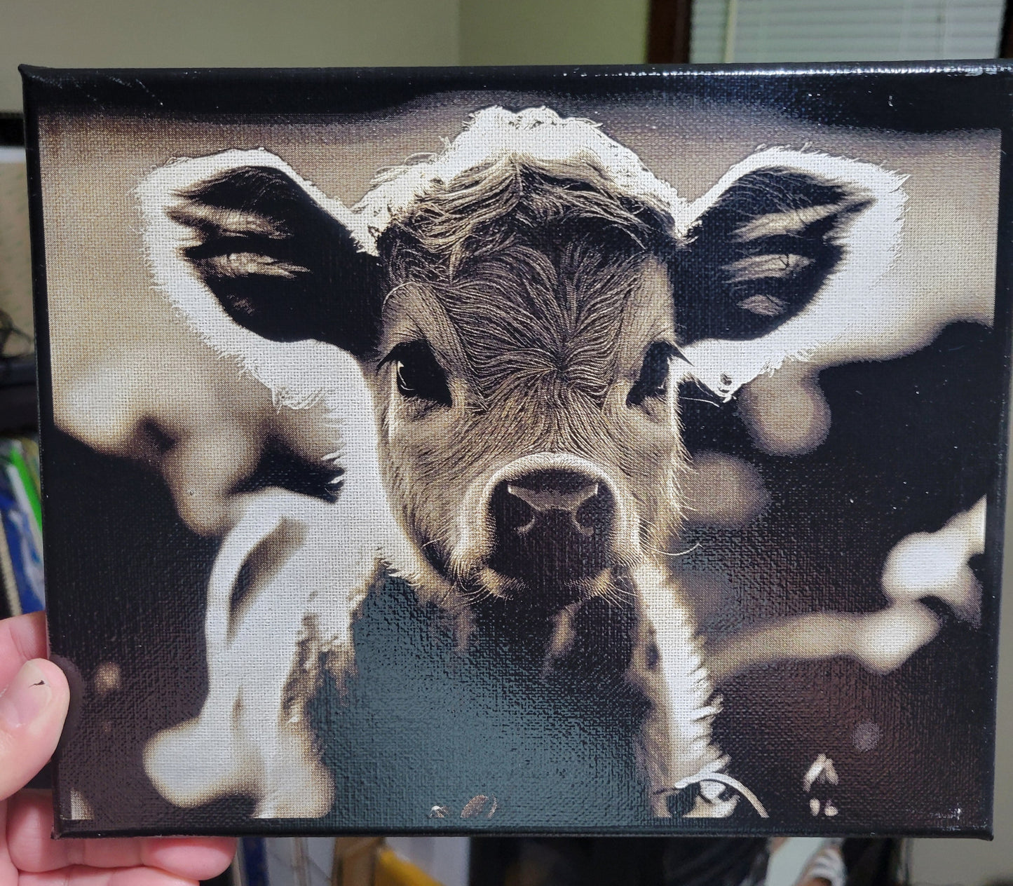 8"x10" Highland Calf Canvas