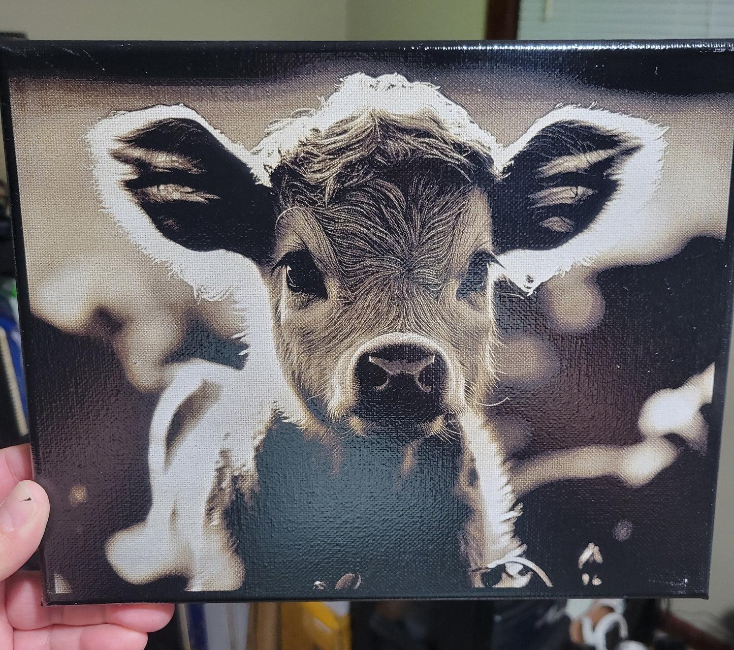 8"x10" Highland Calf Canvas